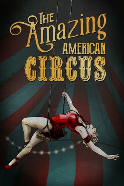 The Amazing American Circus